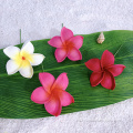 3 "Pele de flores de espuma hecha a mano PLUMERIA